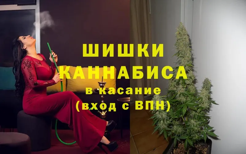 продажа наркотиков  Апрелевка  Каннабис план 